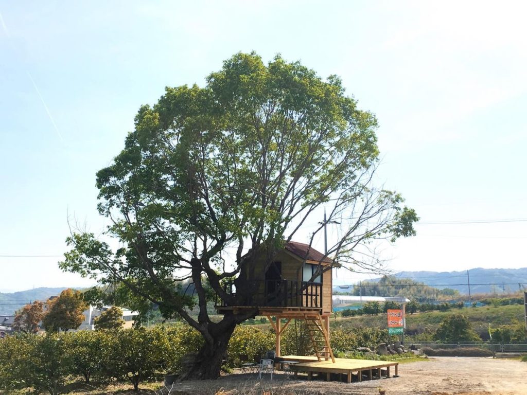 大阪にある宿泊できるツリーハウス